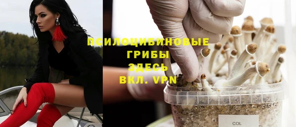 эйфоретик Алексин