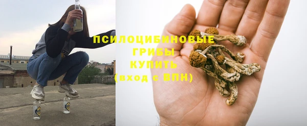 эйфоретик Алексин