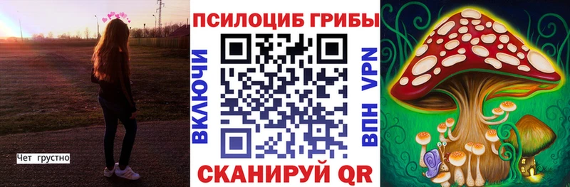 Галлюциногенные грибы Magic Shrooms  наркота  Ардон 